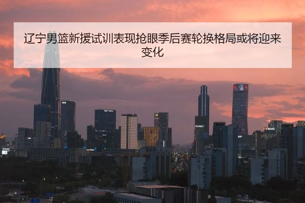 辽宁男篮新援试训表现抢眼季后赛轮换格局或将迎来变化