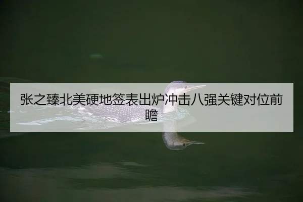 张之臻北美硬地签表出炉冲击八强关键对位前瞻