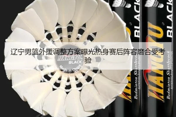 辽宁男篮外援调整方案曝光热身赛后阵容磨合受考验